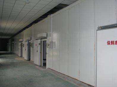 氣調庫相比較保鮮庫而言的話都有哪些特點？